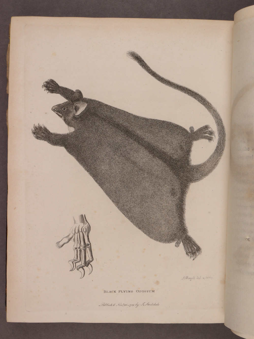 Plate 54